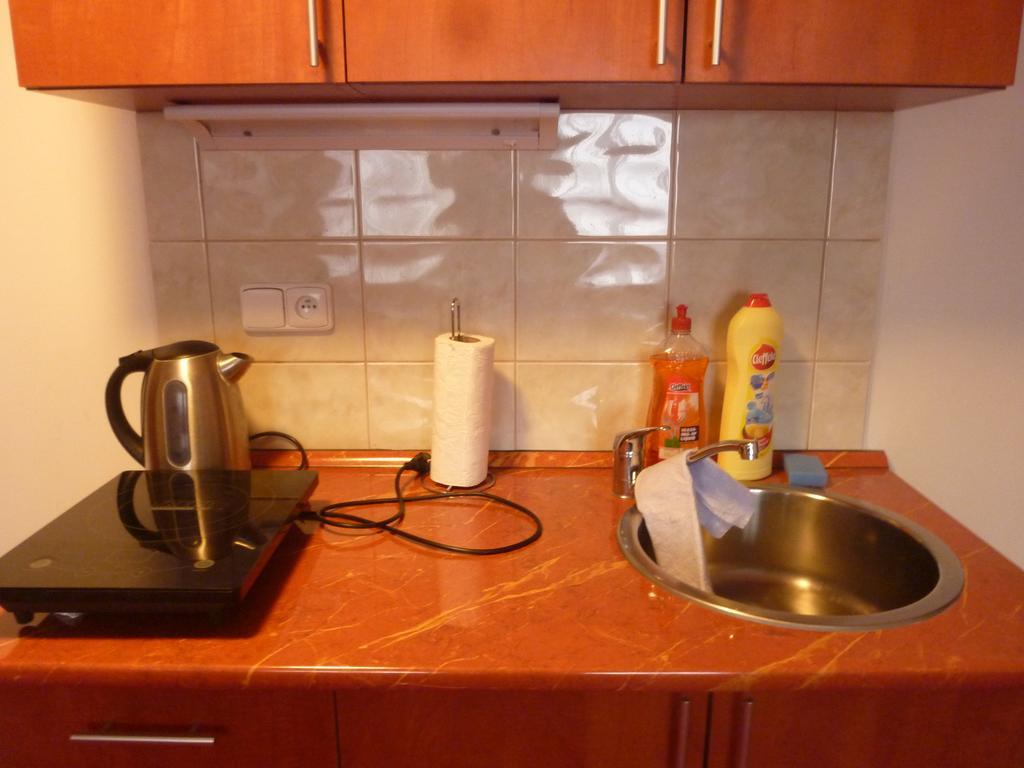 Apartment カルロヴィ・ヴァリ 部屋 写真