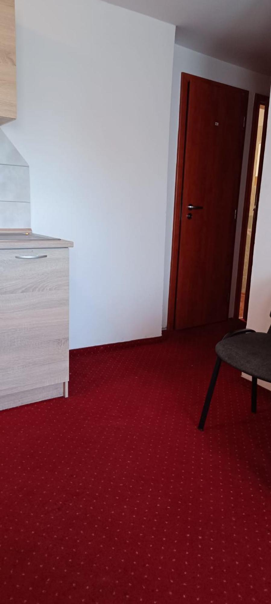 Apartment カルロヴィ・ヴァリ エクステリア 写真