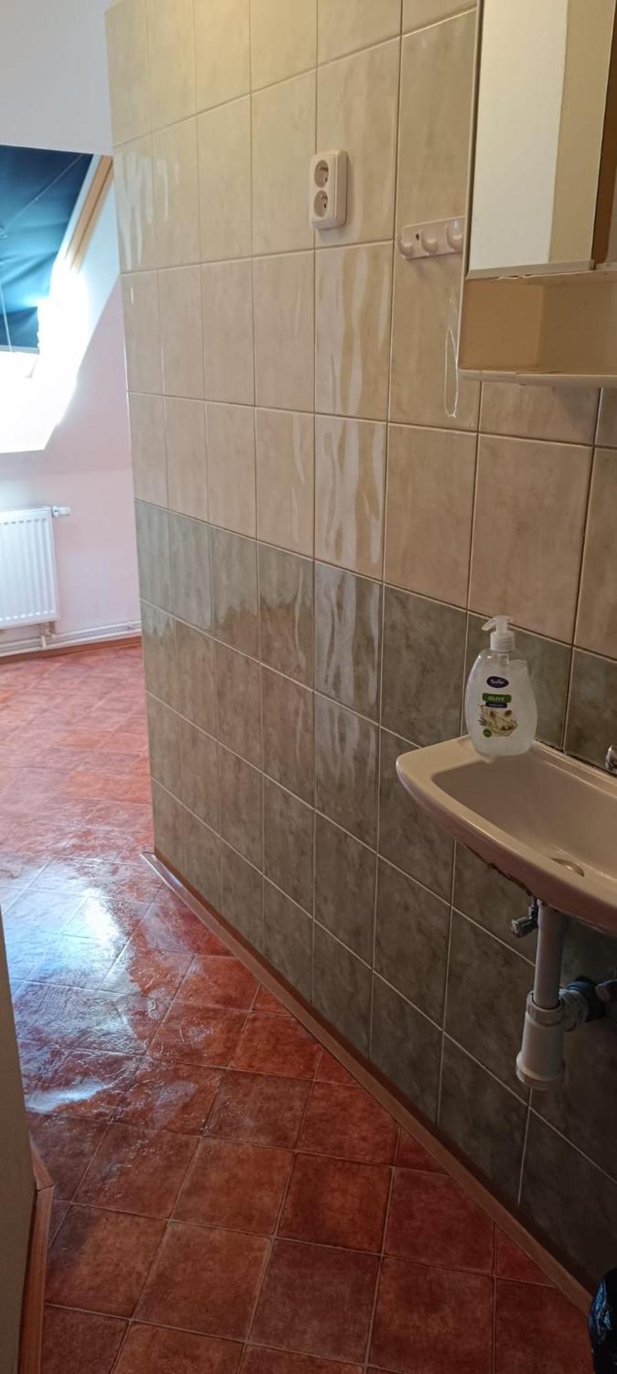 Apartment カルロヴィ・ヴァリ エクステリア 写真