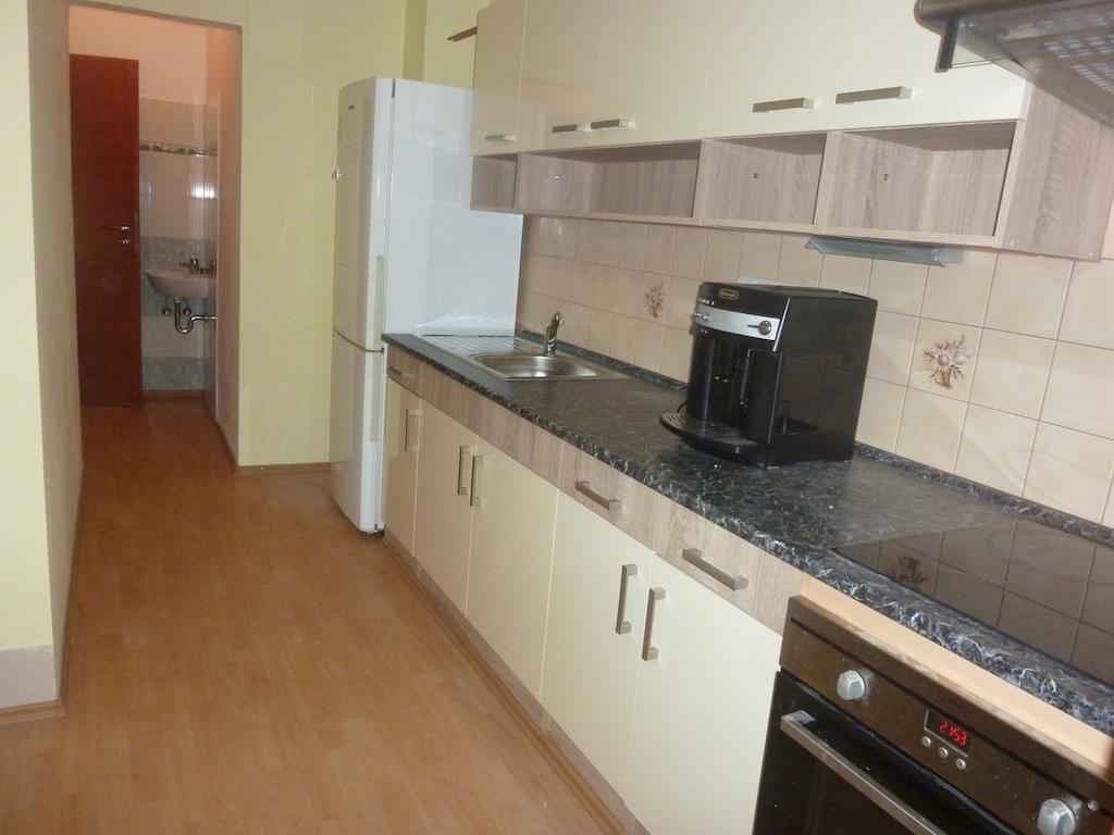 Apartment カルロヴィ・ヴァリ 部屋 写真